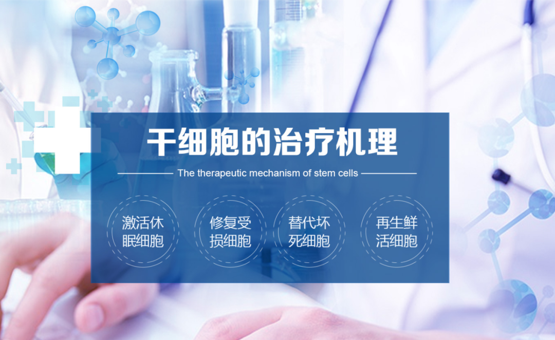 6347dd9119491.png 干細胞治療機理.png